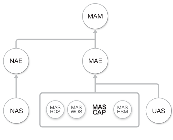Diagrama de flujo Curso CAPsMAN de MikroTik RouterOS (MAS-CAP) dentro del Flujo total de Cursos de Academy Xperts